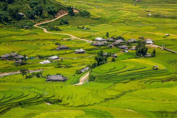 7D6N Magical Mu Cang Chai & Stunning Sapa Tour - photo 29